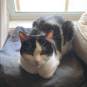 Meet your Posher, Ashley